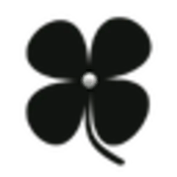 Ansvisor